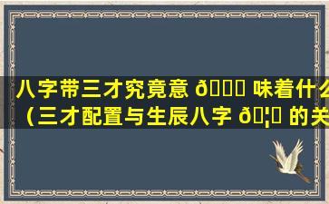 八字带三才究竟意 🐞 味着什么（三才配置与生辰八字 🦁 的关系）